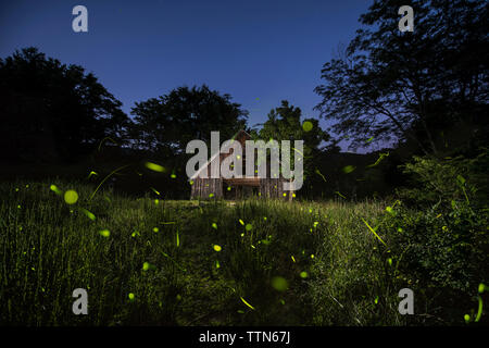 Alte Log Cabin inmitten von Bäumen im Wald gegen den klaren Himmel bei Dämmerung Stockfoto