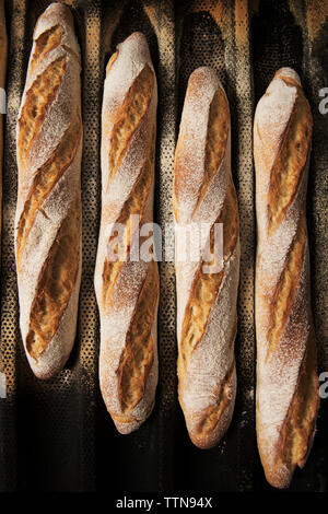 Ansicht von oben von Grissini auf Kühlung Rack Stockfoto