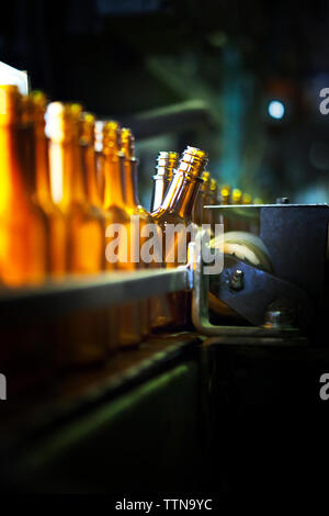 Leere Flaschen auf der Produktionslinie Stockfoto