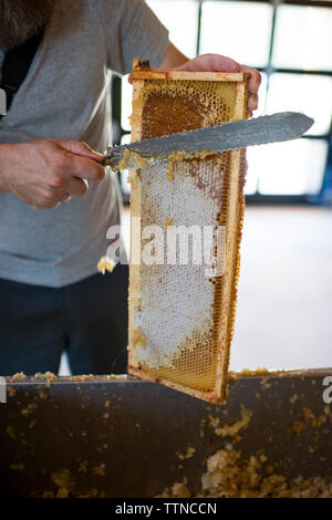 Mittelteil der Imker Wabe Entfernen vom Rahmen mit dem scharfen Messer Stockfoto