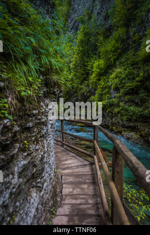 Schlucht Vintgar, Nationalpark Triglav, Gorenjska, Slowenien Stockfoto