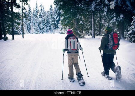 Paar Schneeschuhwandern im Wald Stockfoto