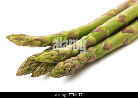 Frischer Spargel Bund isolierten auf weißen Hintergrund Stockfoto