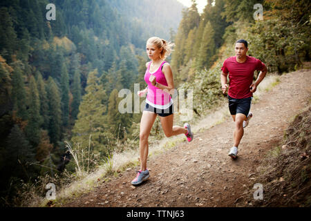 Männliche und weibliche Athleten, die auf Berg Stockfoto