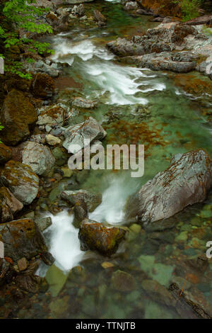 Quartzville Creek Wild and Scenic River, Quartzville Creek National Back Country Byway, Willamette National Forest, Oregon Stockfoto