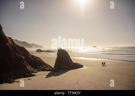 Silhouette Menschen genießen bei Hug Point Beach gegen Himmel während der sonnigen Tag Stockfoto