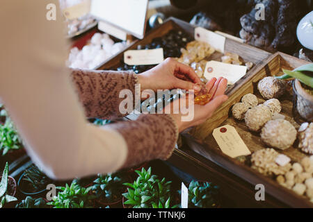 7/8 der Eigentümer holding Steine über Düngemittel Kugeln an Pflanzen shop Stockfoto