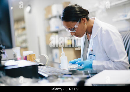 Ärztin untersuchen Petrischale am Schreibtisch in der medizinischen Zimmer Stockfoto