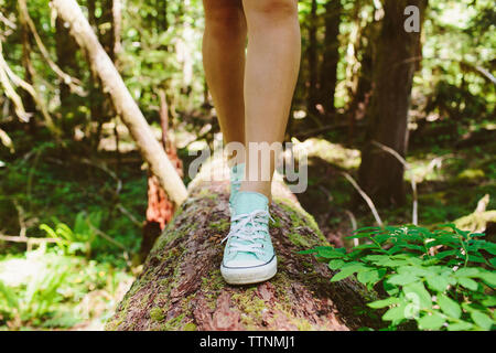 Niedrige Abschnitt der weiblichen Wanderer zu Fuß auf Log in Wald Stockfoto