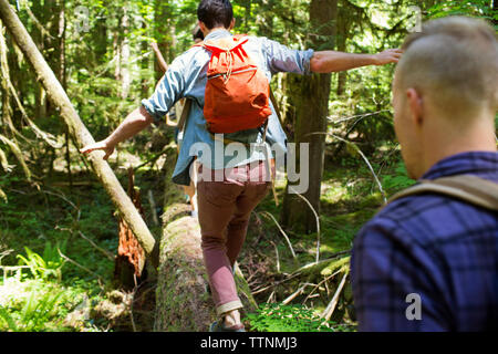 Wanderer zu Fuß auf Log in Wald Stockfoto