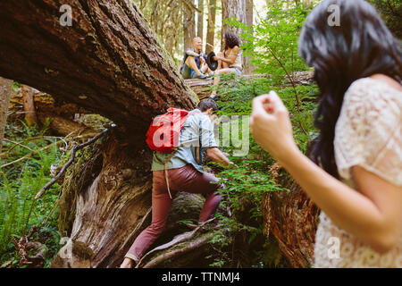 Freunde im Wald genießen. Stockfoto