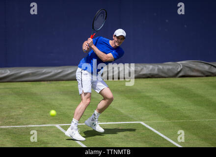 London, Großbritannien. 17 Juni, 2019. Andy Murray der GBR Praxis während der Fever-Tree TENNIS Meisterschaften im Queen's Club, London, England am 17. Juni 2019. Foto von Andy Rowland. Credit: PRiME Media Images/Alamy leben Nachrichten Stockfoto