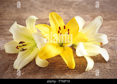Schöne Lilien auf Holz- Hintergrund Stockfoto