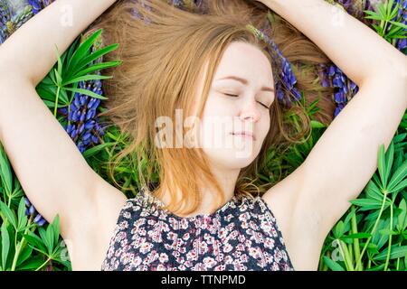 Eine schöne und junge Mädchen liegt auf eine Tagesdecke von Blumen, sie ist Rodeln und entspannt. Blumen von einem violetten Schatten genannt werden Lupinen. Stockfoto
