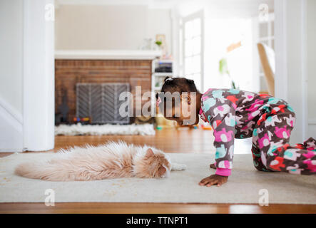 Seitenansicht der neugierigen Mädchen mit Katze liegend auf Teppich im Wohnzimmer Stockfoto