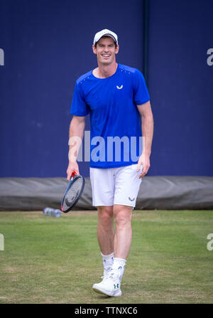London, Großbritannien. 17 Juni, 2019. ANDY MURRAY Praxis während der Fever-Tree TENNIS Meisterschaften im Queen's Club, London, England am 17. Juni 2019. Foto von Andy Rowland. Credit: PRiME Media Images/Alamy leben Nachrichten Stockfoto