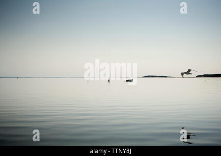 Malerische Aussicht auf Meer, klarer Himmel Stockfoto