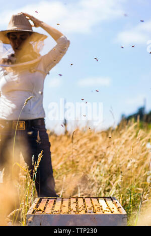 Weibliche Imker einstellen hat beim Stehen im Feld Stockfoto