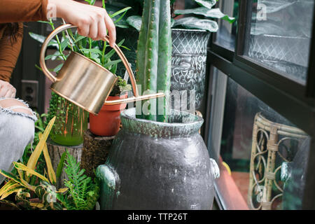 Mittelteil der Frau Bewässerung Topfpflanze durch Fenster auf der Veranda Stockfoto