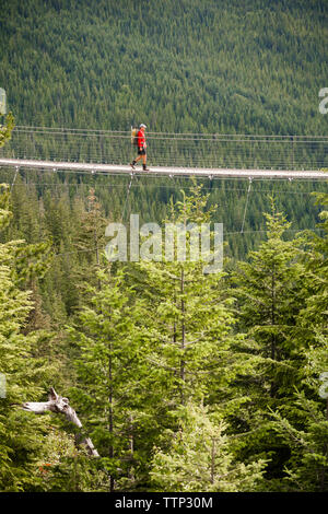 Mitte der Abstand der Wanderer mit Rucksack Kreuzung Steg inmitten Wald Stockfoto