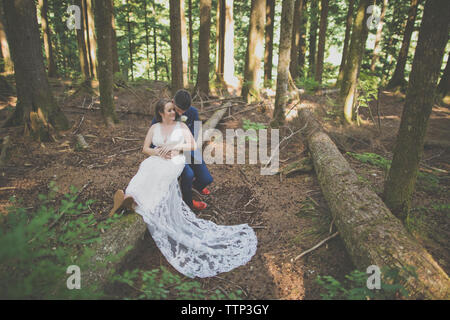 Hohe Betrachtungswinkel und der romantischen Jungvermählten Paare sitzen auf Baumstamm im Wald Stockfoto