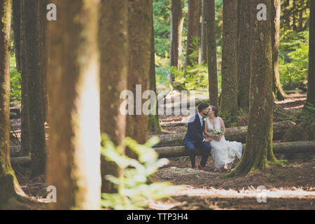 Frisch vermählte Paar küssen beim Sitzen auf Baumstamm im Wald Stockfoto