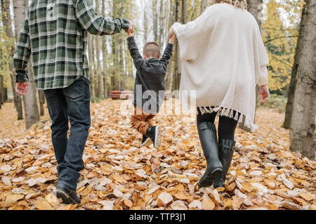 Ansicht der Rückseite des verspielten Eltern schwingen Sohn, während seine Hände in Wald im Herbst Stockfoto