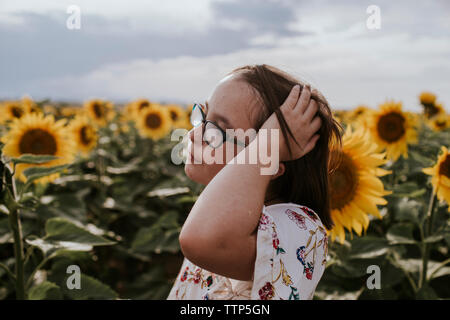 In der Nähe von Mädchen mit Hand im Haar stand in Sonnenblumen Feld gegen Sky Stockfoto