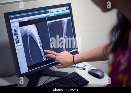 Zugeschnittenes Bild des Tierarztes auf x-ray auf dem Computer in der Klinik Stockfoto