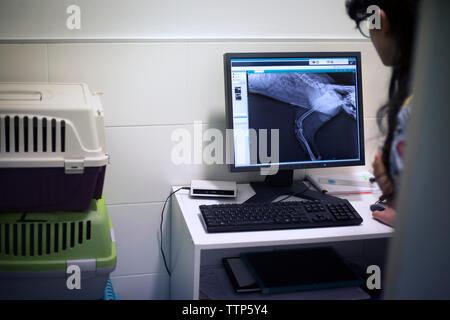 Zugeschnittenes Bild des Tierarztes x-Prüfung ray auf Computer in der Klinik Stockfoto