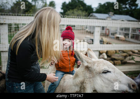 Seitenansicht der Mutter von Sohn sitzen auf Esel auf dem Bauernhof Stockfoto