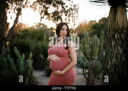 Schwangere Frau mit Hände auf Bauch weg schauen beim Stehen in der Park bei Sonnenuntergang Stockfoto