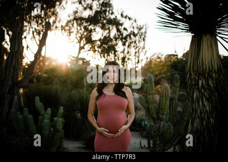 Portrait der schwangeren Frau mit Händen auf Magen standing in Park bei Sonnenuntergang Stockfoto