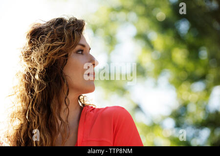 Low Angle View von nachdenklich Frau im Wald Stockfoto