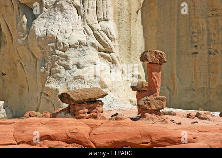 Roten fliegenpilzen - Utah Stockfoto