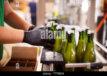 Zugeschnittenes Bild der Hände arrangieren Bierflaschen auf Förderband Brauerei Stockfoto