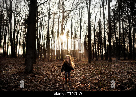 Junges Mädchen lange Locken Blasen im Wald im Herbst bei Sonnenuntergang Stockfoto