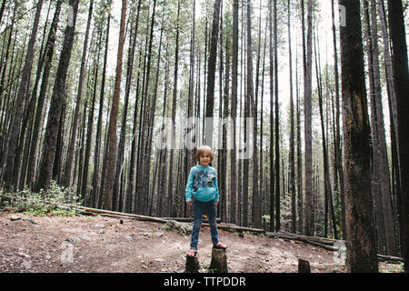 Portrait von Mädchen stehen auf Baumstümpfen im Wald Stockfoto