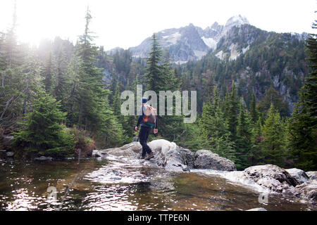 Wanderer und Hund zu Fuß auf den Felsen durch Schnee See gegen Berge Stockfoto