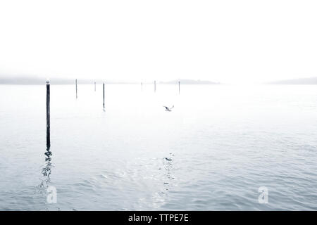 Malerische Aussicht auf Meer, klarer Himmel Stockfoto