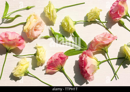 Schöne Blumen Hintergrund Stockfoto