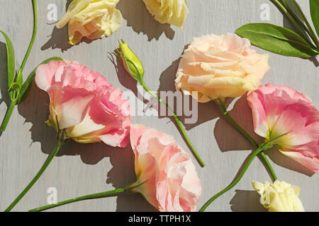 Schöne Blumen Hintergrund Stockfoto