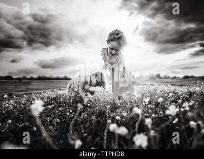 Schwestern Blumen pflücken beim Stehen auf Feld gegen bewölkter Himmel Stockfoto