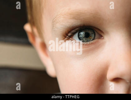 Zugeschnittenes Bild der Boy Stockfoto