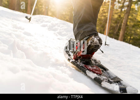 Niedrige Abschnitt von Frau ski tragen beim Gehen auf schneebedeckten Feld Stockfoto