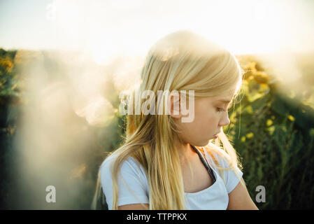 In der Nähe von Mädchen stehend an Sonnenblumenfeld Stockfoto