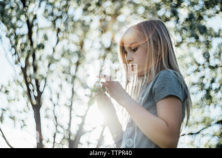 Seitliche Sicht auf Mädchen mit Blume im Stehen gegen Baum Stockfoto