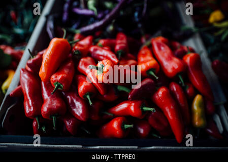 Hohe Betrachtungswinkel von red chili peppers in Korb Marktstand Stockfoto