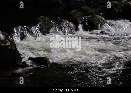 Stromschnellen entlang des Flusses Dart fließt durch Hembury Holz auf einem späten Sommer am Nachmittag. Buckfastleigh, Dartmoor, Devon, Großbritannien. Stockfoto