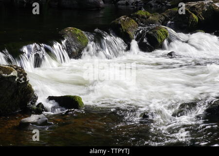 Stromschnellen entlang des Flusses Dart fließt durch Hembury Holz auf einem späten Sommer am Nachmittag. Buckfastleigh, Dartmoor, Devon, Großbritannien. Stockfoto